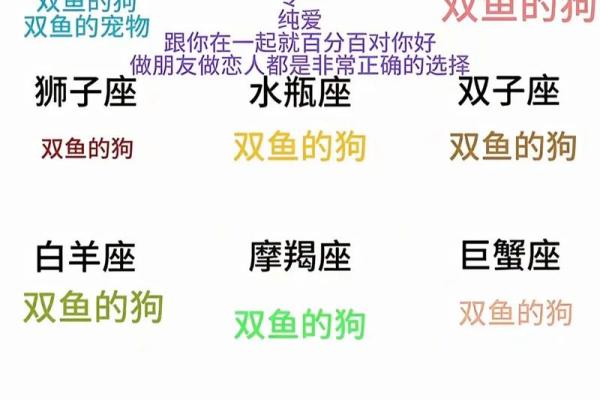 双鱼座是什么象星座，双鱼座是什么属性？