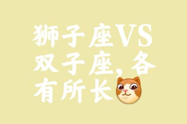 狮子座的最好兄弟是哪个星座的