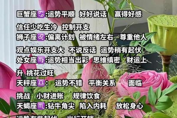 十二星座一天的运势