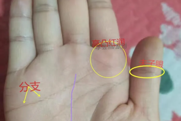 算命时间可以延迟吗女