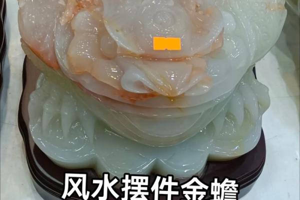 招财金蝉摆放风水常识 招财金蝉摆放风水常识