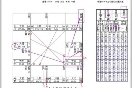 紫薇斗数好命盘