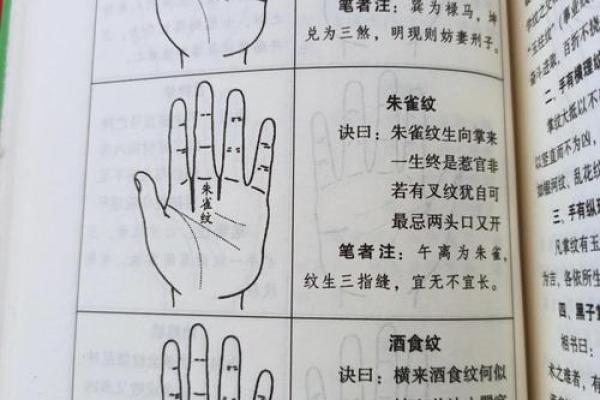 手相流年图算命——百发百中