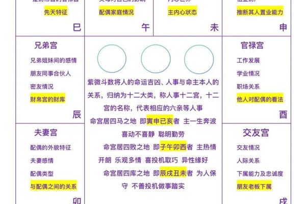 紫薇斗数的引导任务在哪 紫薇斗数的引导任务在哪