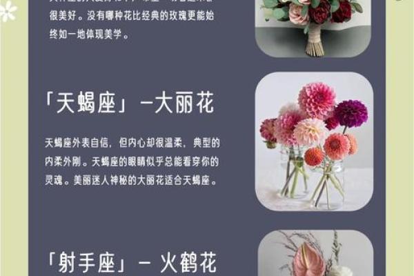 哪些花朵适合十二星座的专属 哪些花朵适合十二星座的专属