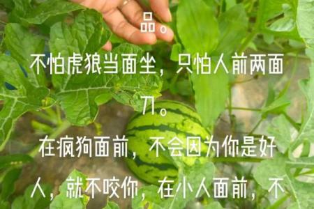 对人总是客客气气，不肯轻易亲近他人的星座