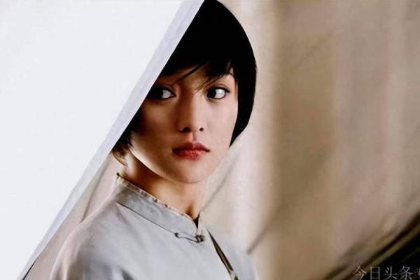 周迅紫薇斗数 周迅紫薇斗数