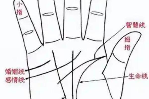 手型算命：你是什么手型？