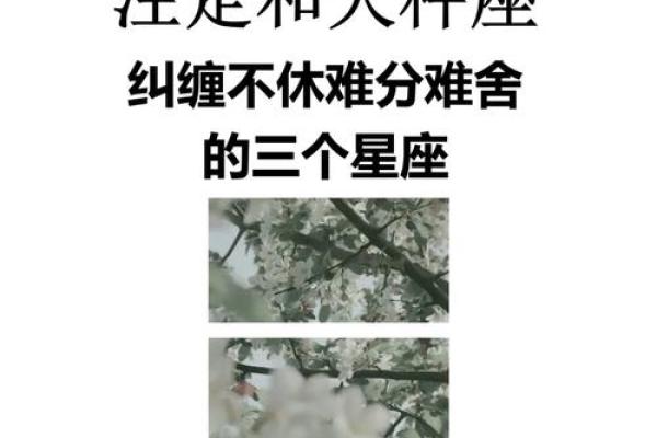 把天秤男迷得死死的星座女 天秤男偏爱哪类型女生