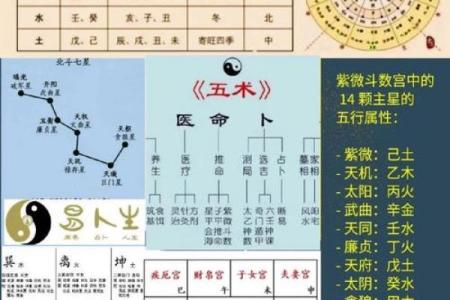 紫薇斗数紫薇五行