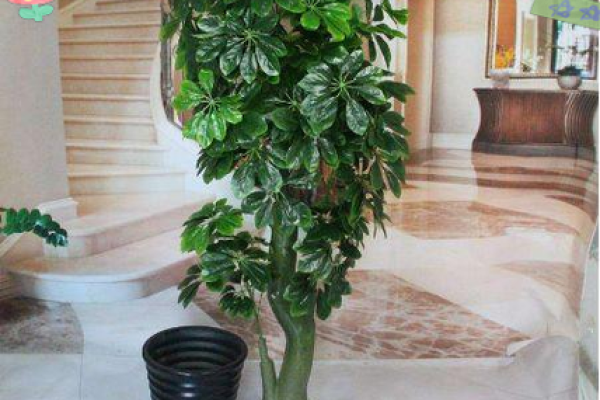 假花摆放在家里影响风水有哪些方面呢