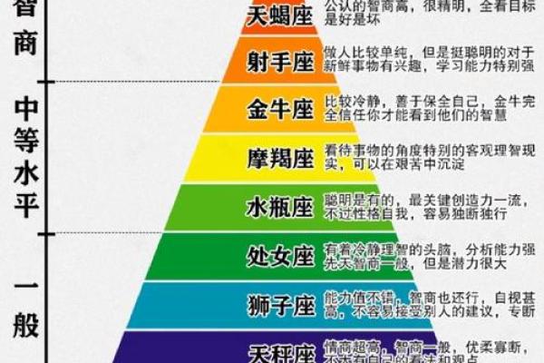 如何将天文学中的二十四个星座进行划分