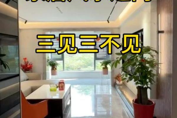 开门三见四不见，打造家居风水