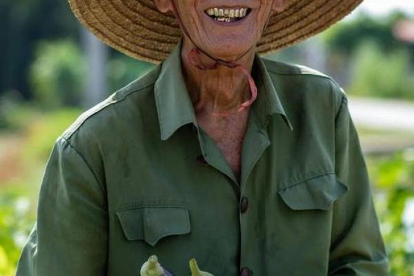 老农民算命大全