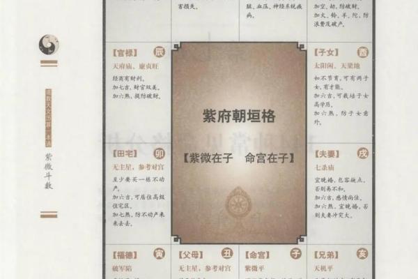紫微斗数诸星落诸宫之：紫微星奴仆宫详解