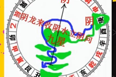 属相风水_生肖龙最厉害的地方在哪里