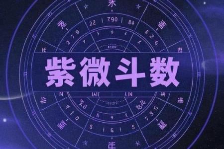 紫薇斗数迁移代表什么