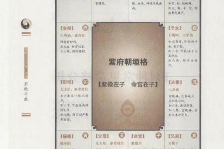 紫微斗数诸星落诸宫之：紫微星奴仆宫详解