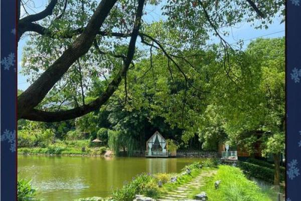 湖中央的房子风水