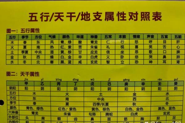 八字与六道 八字与六道