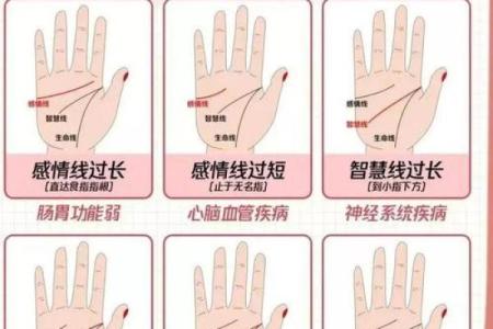 图解：手相纵欲线算命