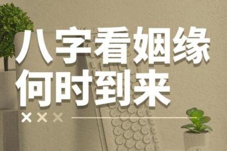 女生八字姻缘算命 女人八字看婚姻状况？