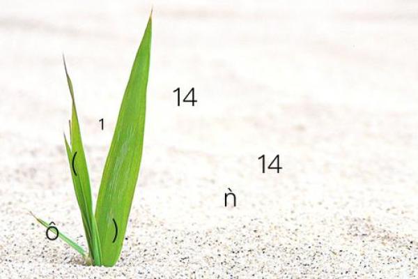 在线抽签观音灵签14签