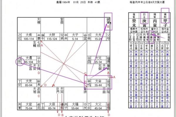 紫薇斗数定盘软件