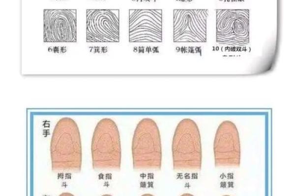 手指上的斗和簸箕代表什么 十个簸箕 簸箕和斗算命 手指上的斗和簸箕代表什么 十个簸箕 簸箕和斗算命