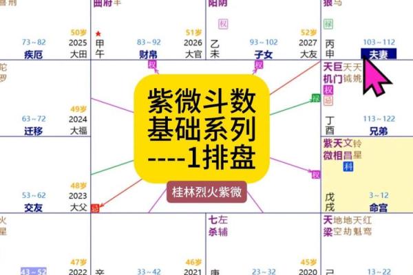看紫薇斗数顺序