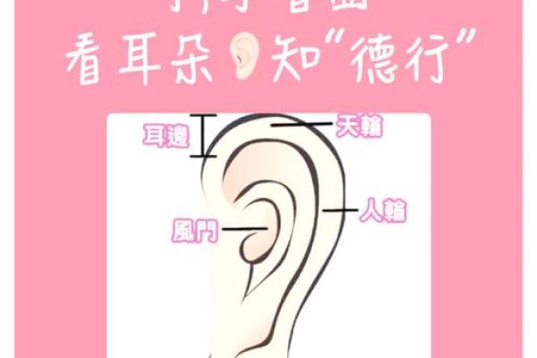 风水上耳朵有痣的人命运
