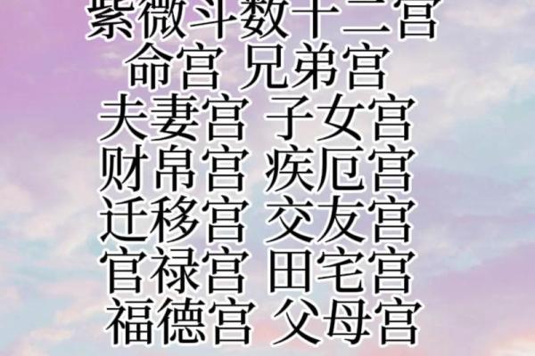 紫薇斗数与12星座 紫薇斗数与12星座