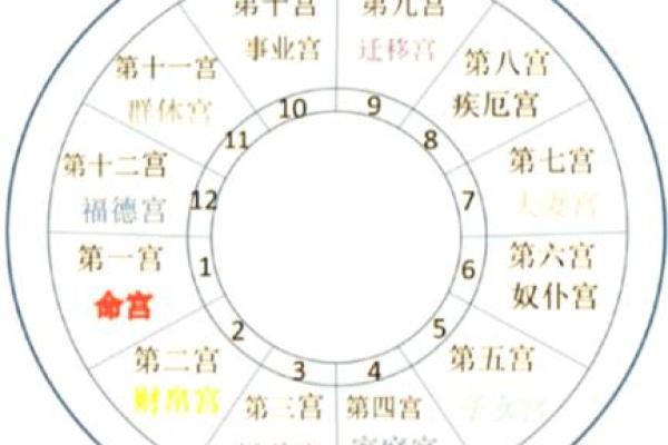 紫薇斗数化禄流通