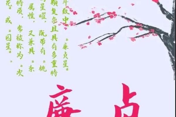 《紫微斗数》:廉贞.天相在财帛宫 《紫微斗数》:廉贞.天相在财帛宫