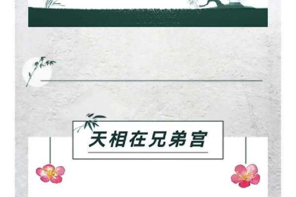 詹惟中紫薇斗数app 詹惟中紫薇斗数app