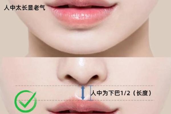 如何从女人下巴面相算命 如何从女人下巴面相算命