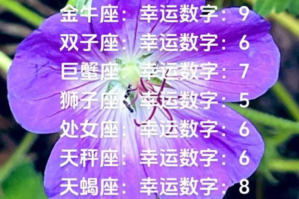 星座幸运字符,星座幸运符号