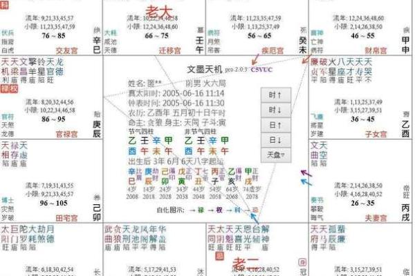 【紫微斗数】排盘技巧016:特殊格局的分析 【紫微斗数】排盘技巧016:特殊格局的分析