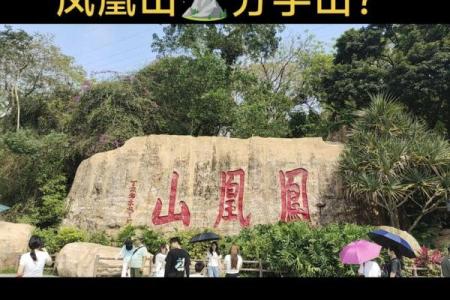 深圳凤凰山算命