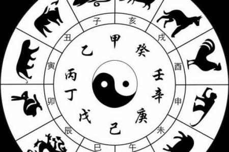 紫薇斗数身主天机