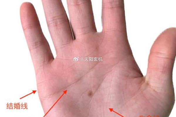 看手相算命图解:手相看婚姻 看手相算命图解:手相看婚姻