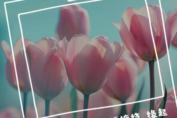 月老给你安排的姻缘文案 月老现在不管姻缘了？