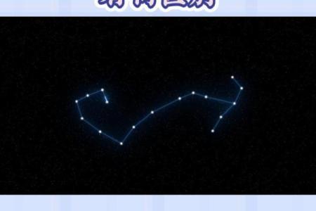 十一月什么星座