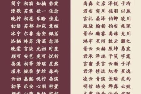 2019年5月13号寅时出生的男孩要怎么起名字姓名