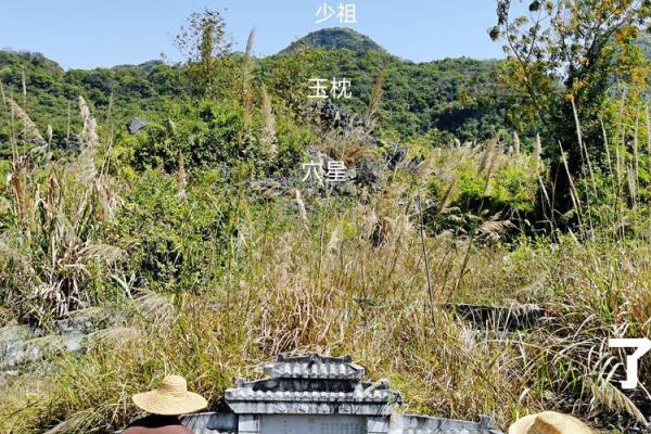 墓地风水的朝向有哪些禁忌-