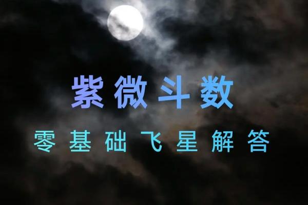 紫薇斗数视频 紫薇斗数视频
