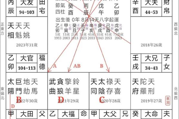 紫薇斗数武曲化科坐命辰宫