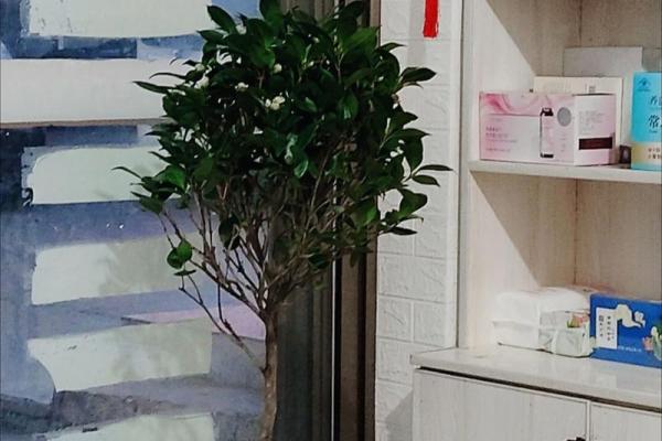 风水上十大不吉利花是哪几种 风水上十大不吉利花是哪几种