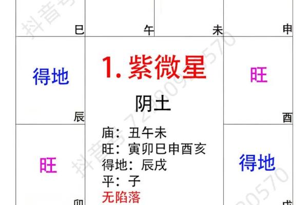 紫薇斗数卯宫对应 紫薇斗数卯宫对应