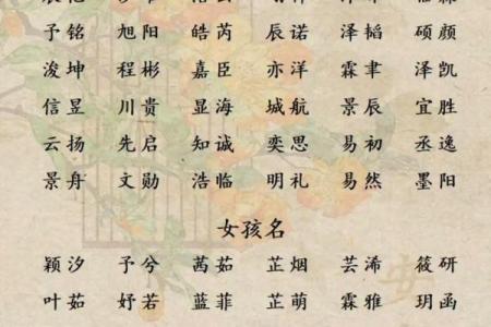 免费以八字取名大全，助你给宝宝起个好名字